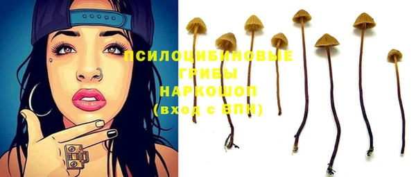 ALPHA PVP Алзамай