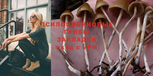 ALPHA PVP Алзамай